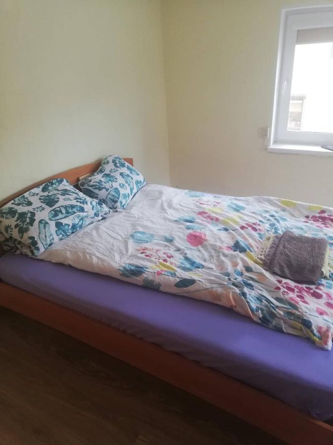 Biržai Nakvyne Apgyvendinimo Paslaugos Daivos Nakvynes Namaiホステル エクステリア 写真